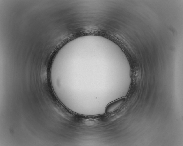 X0000112080508200908251107