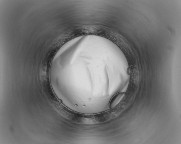 X0000112080510200908251107