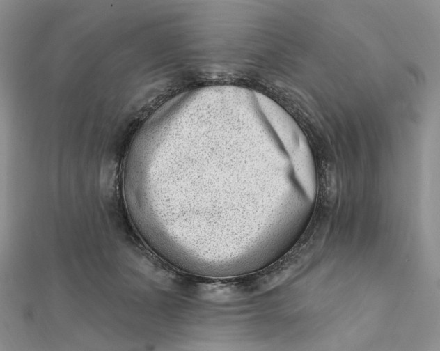X0000112080511200908251107