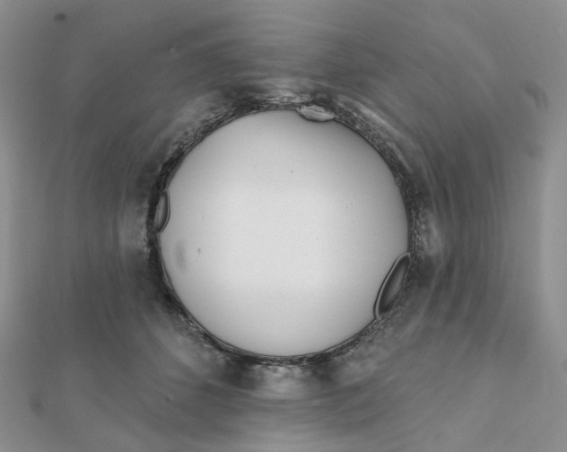 X0000112080512200908251107