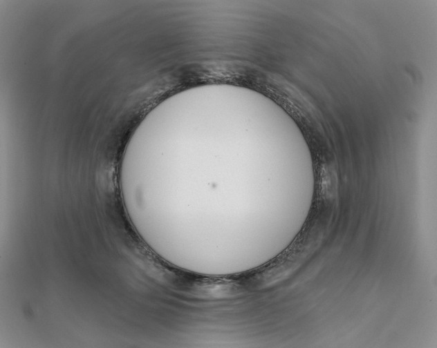 X0000112080514200908251107