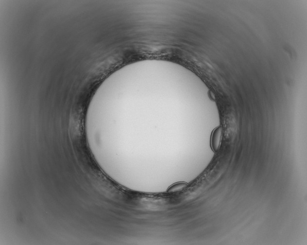 X0000112080515200908251107