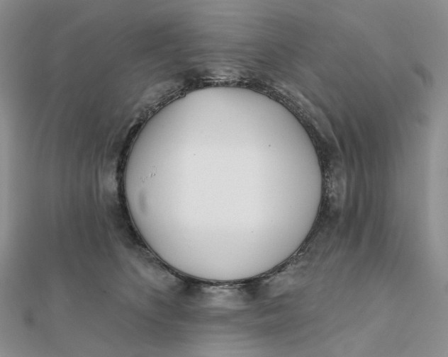 X0000112080516200908251107