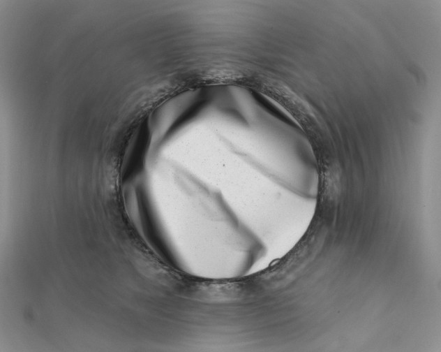 X0000112080517200908251107
