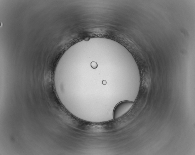 X0000112080518200908251107