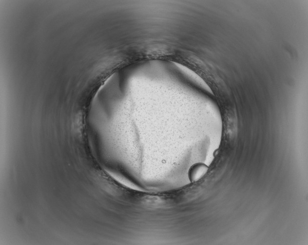 X0000112080519200908251107