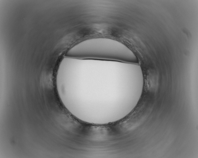 X0000112080520200908251107