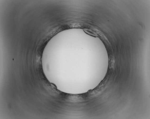 X0000112080521200908251107