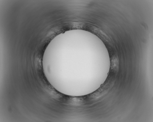 X0000112080522200908251107
