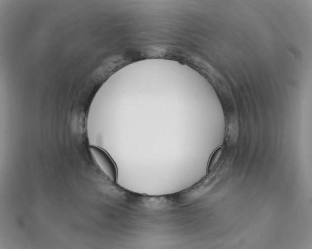 X0000112080525200908251107