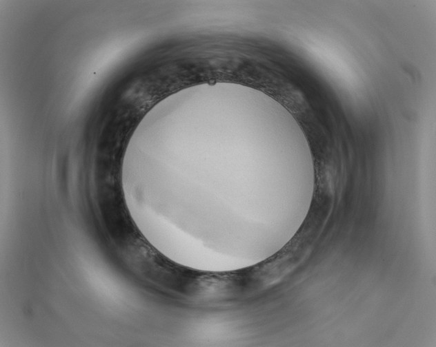 X0000112080526200908251107
