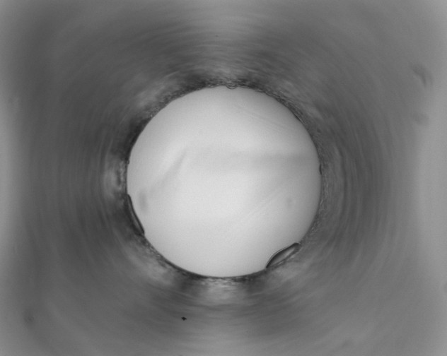 X0000112080528200908251107