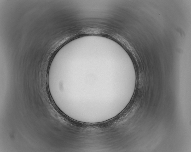 X0000112080529200908251106