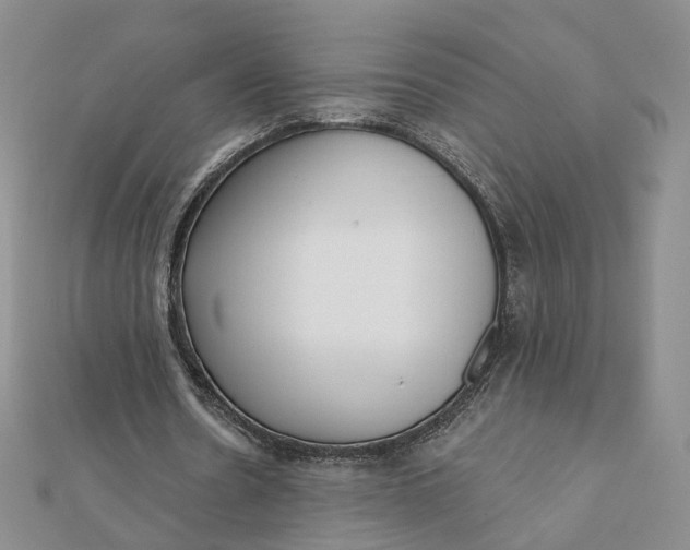 X0000112080530200908251106