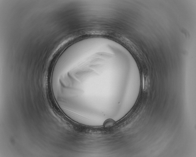 X0000112080531200908251106