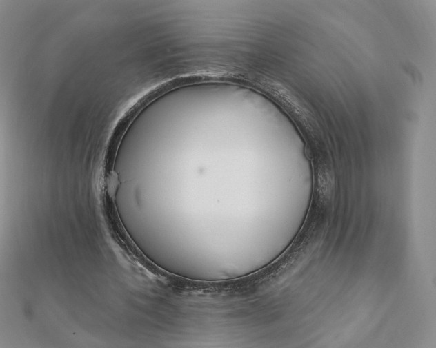 X0000112080532200908251106