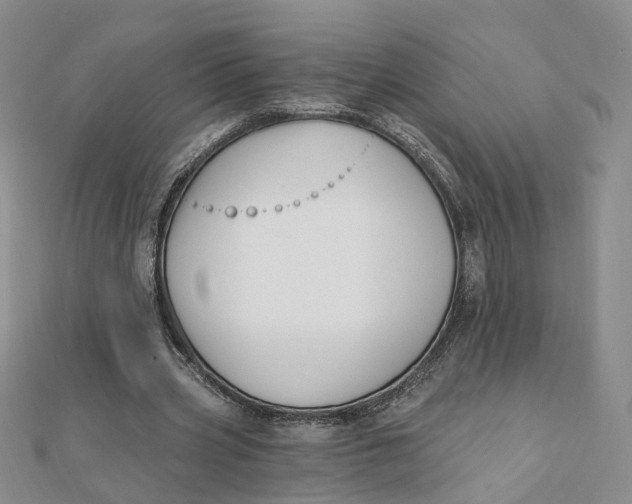 X0000112080533200908251106