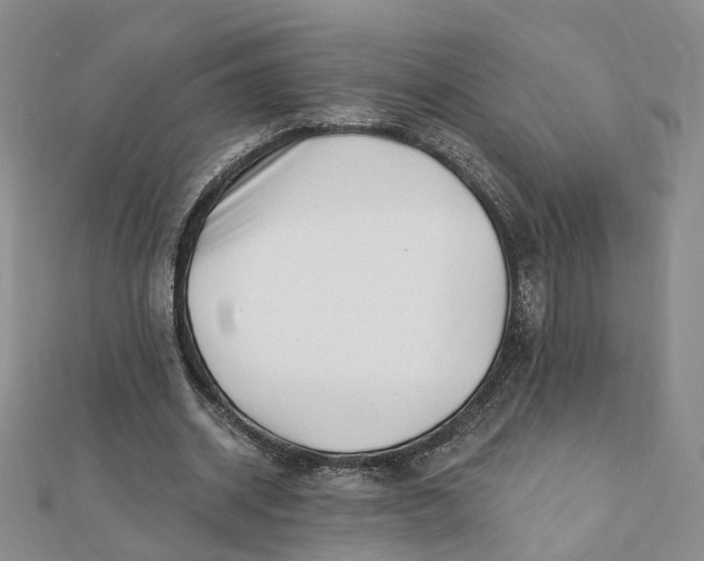 X0000112080534200908251106
