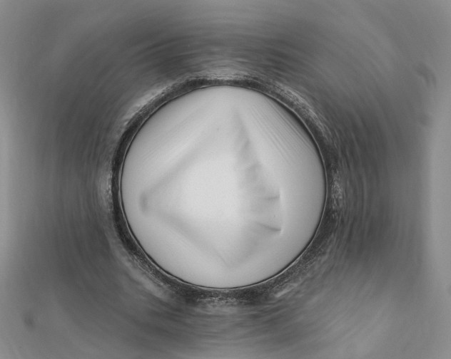 X0000112080535200908251106