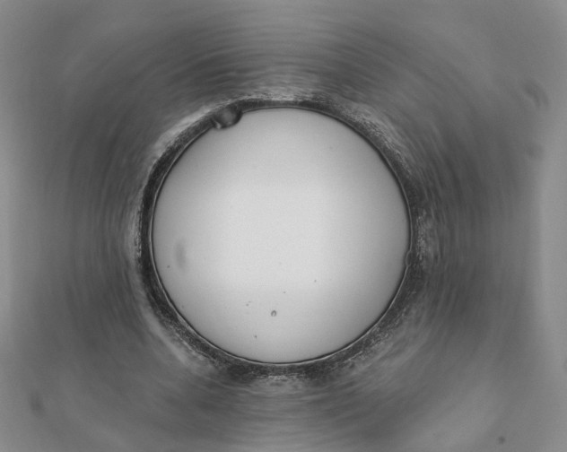 X0000112080536200908251106