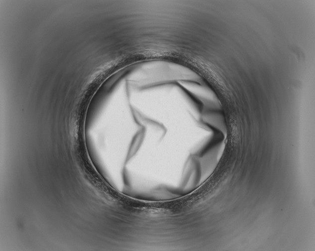 X0000112080539200908251106
