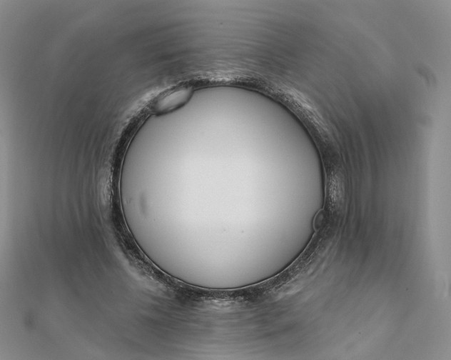X0000112080540200908251106