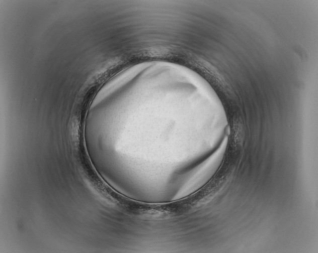 X0000112080542200908251107
