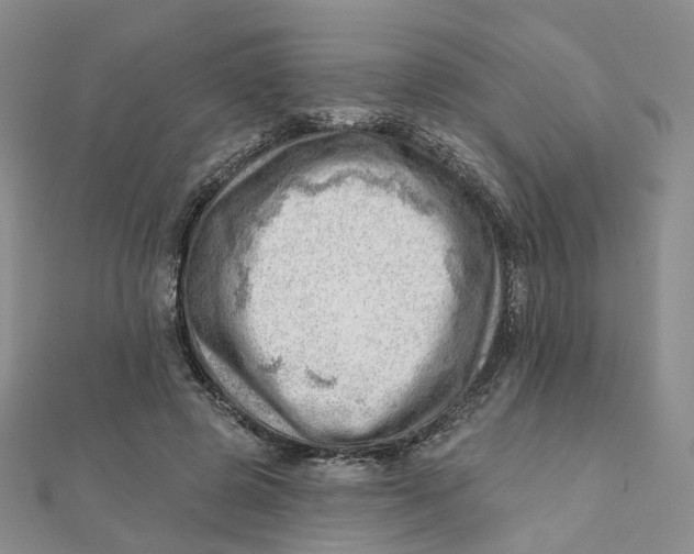 X0000112080545200908251107