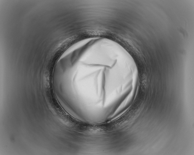 X0000112080547200908251107