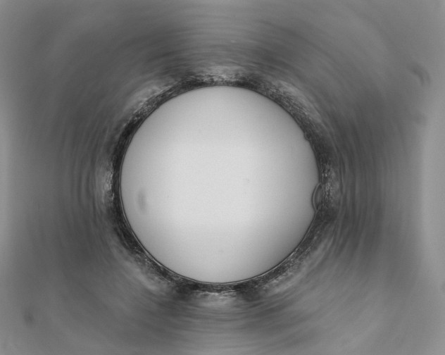 X0000112080548200908251107