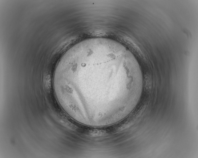 X0000112080549200908251107