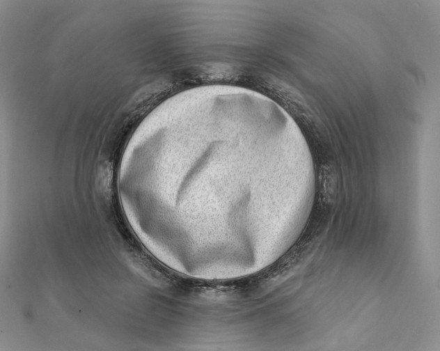 X0000112080550200908251107