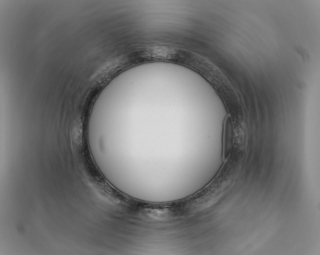 X0000112080552200908251107
