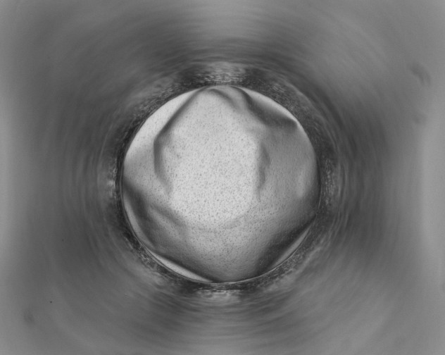 X0000112080553200908251107