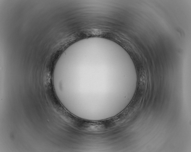 X0000112080555200908251107