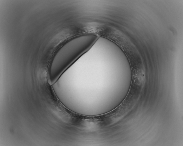 X0000112080556200908251107