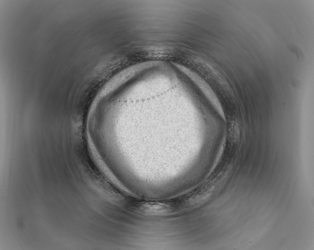 X0000112080557200908251107