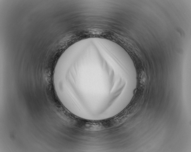 X0000112080559200908251107
