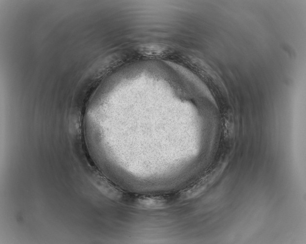 X0000112080561200908251107