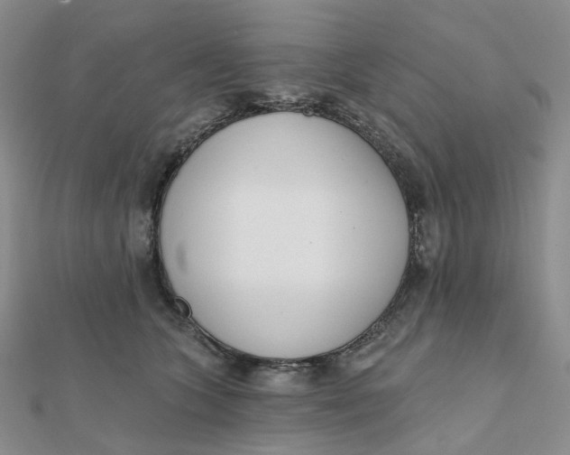 X0000112080563200908251107