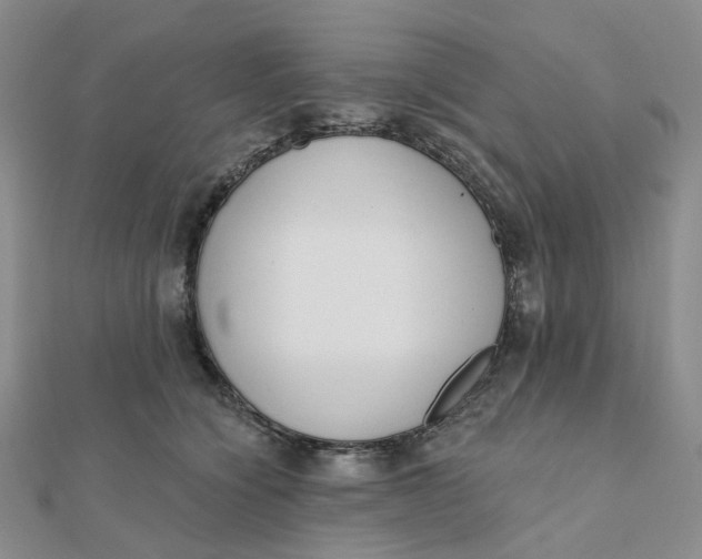 X0000112080564200908251107