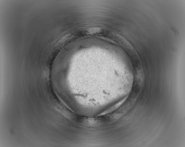 X0000112080565200908251107