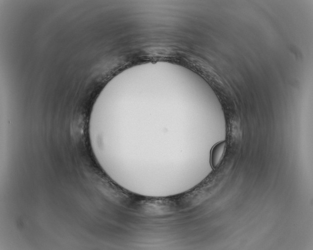 X0000112080567200908251107