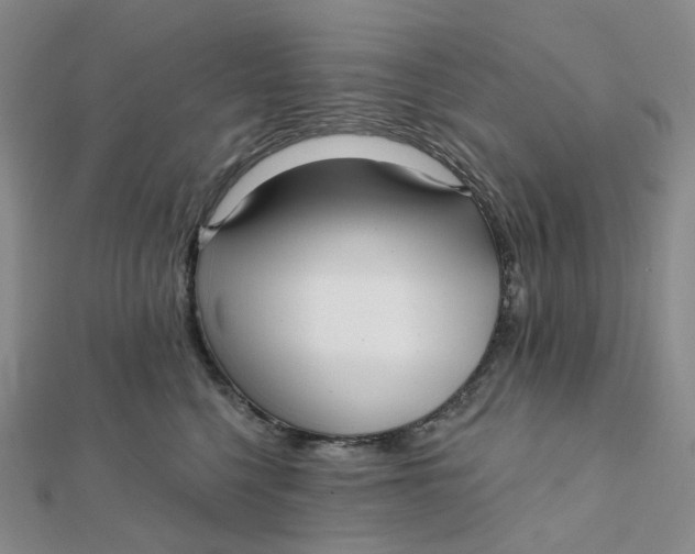 X0000112080568200908251107