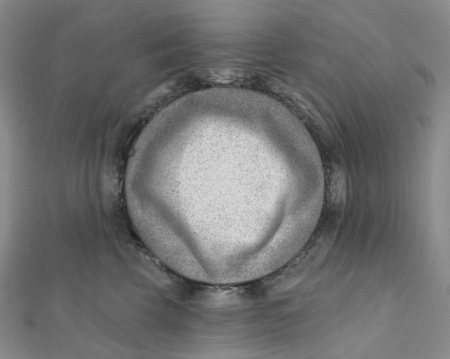 X0000112080569200908251107