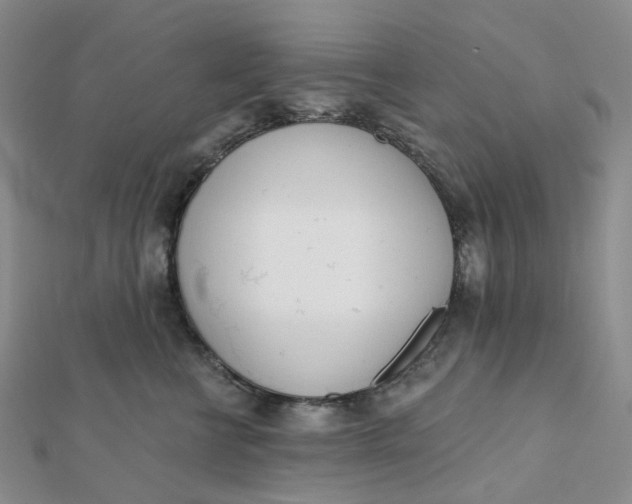 X0000112080570200908251107