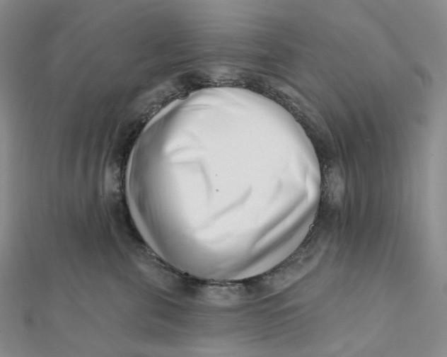 X0000112080571200908251107