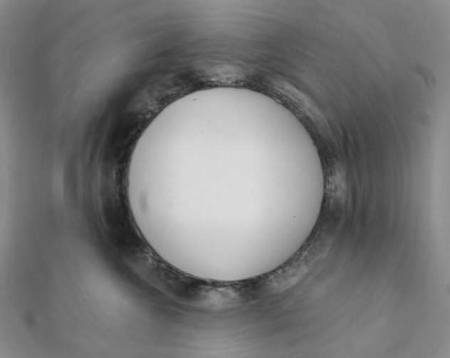 X0000112080572200908251107