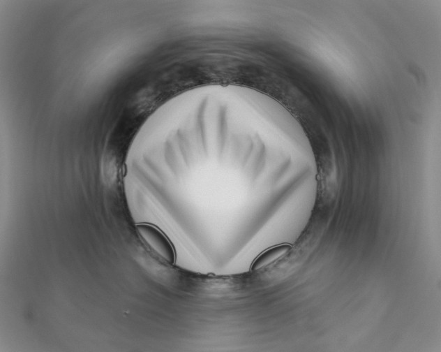 X0000112080574200908251107