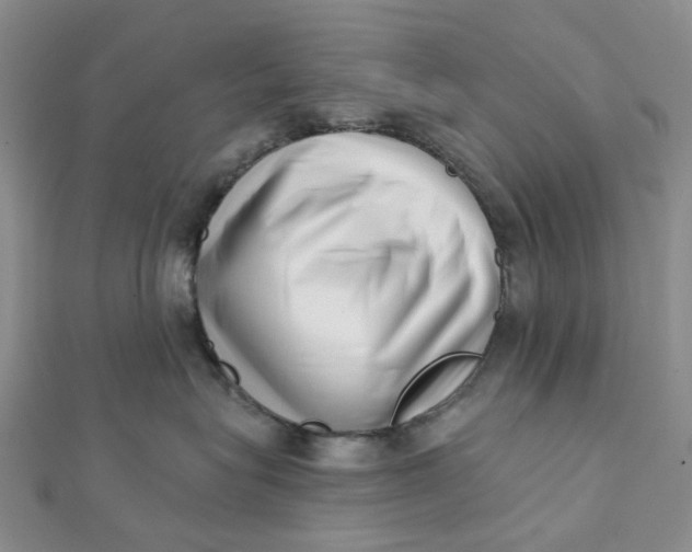 X0000112080575200908251107
